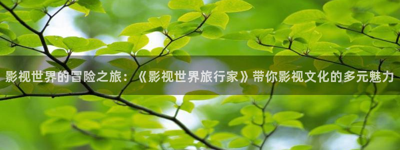 全能影视改名叫什么了：影视世界的冒险之旅：《影视世界旅行家》带你影视文化的多元魅力