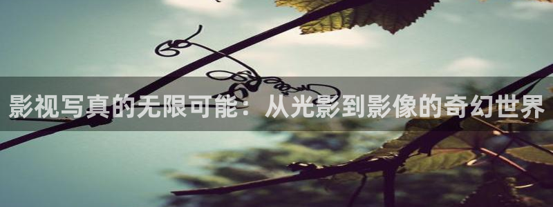全能影视官网：影视写真的无限可能：从光影到影像的奇幻世界
