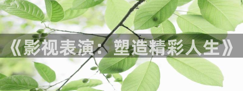 全能视频在线：《影视表演：塑造精彩人生》