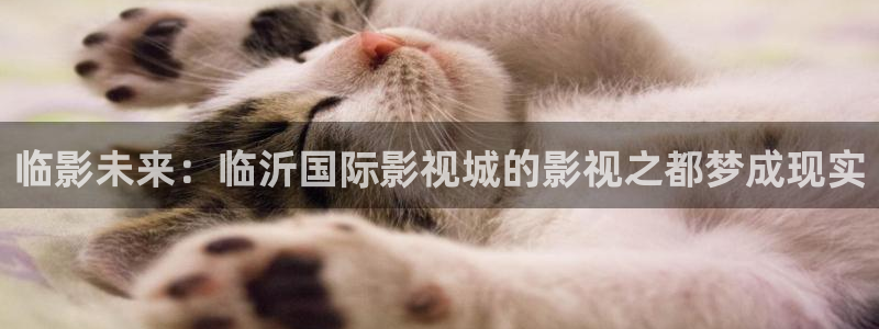 全能影视免费观看：临影未来：临沂国际影视城的影视之都梦成现实