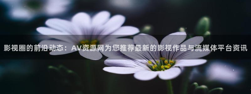 全能影视在线观看：影视圈的前沿动态：AV资源网为您推荐最新的影视作品与流媒体平台资讯