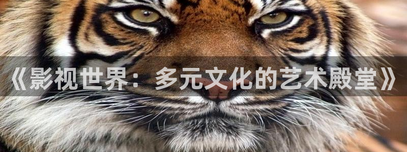 全能影视网页版：《影视世界：多元文化的艺术殿堂》