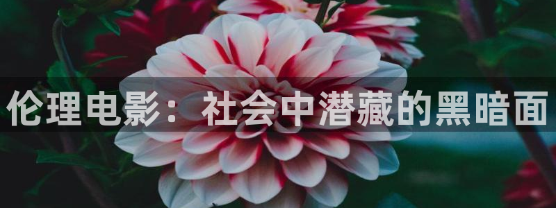 全能影视下载：伦理电影：社会中潜藏的黑暗面