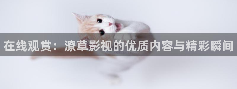 全能影视剧大全：在线观赏：潦草影视的优质内容与精彩瞬间
